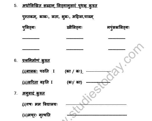CBSE Class 5 Sanskrit Revision Worksheet Set G